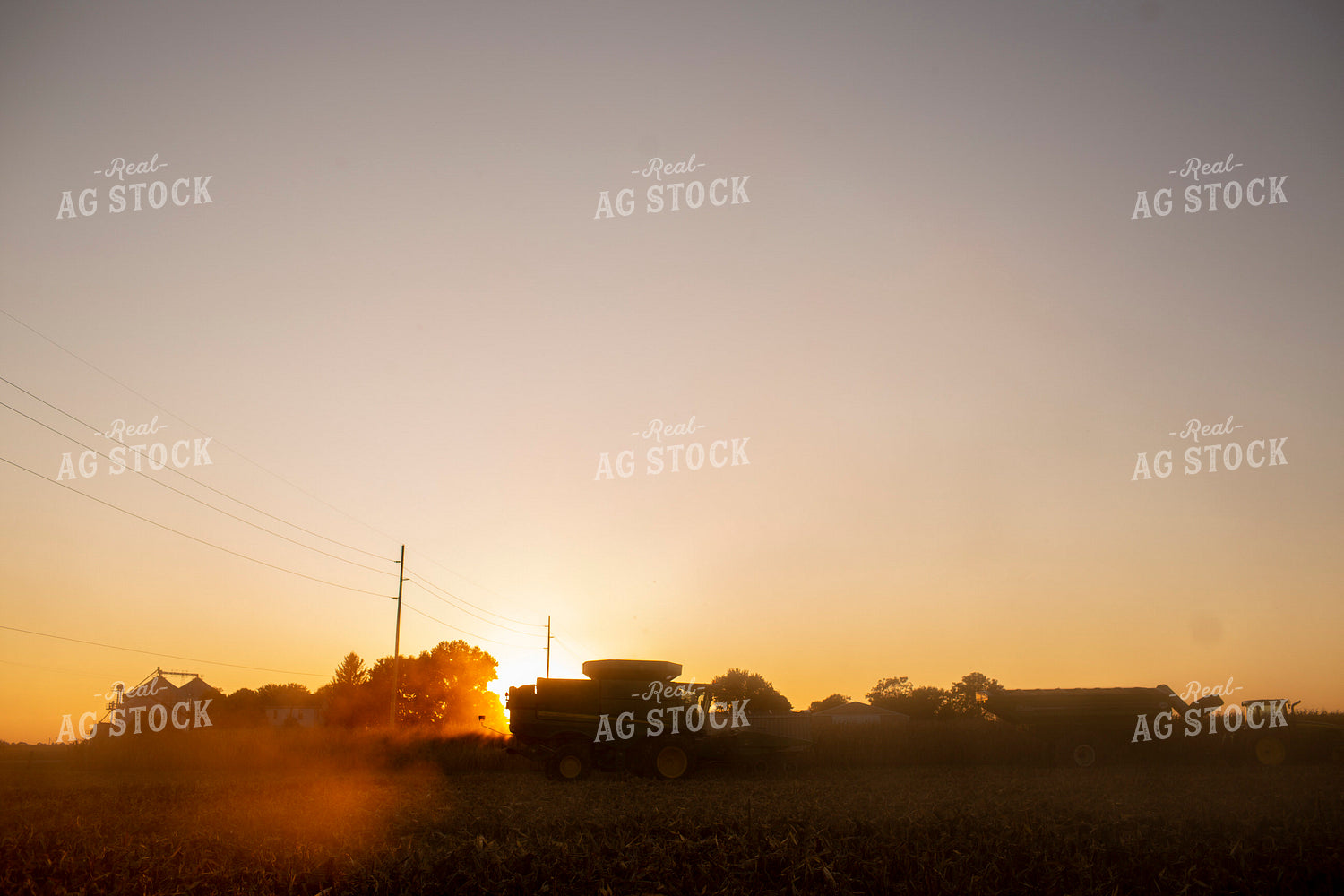 Harvest 2546
