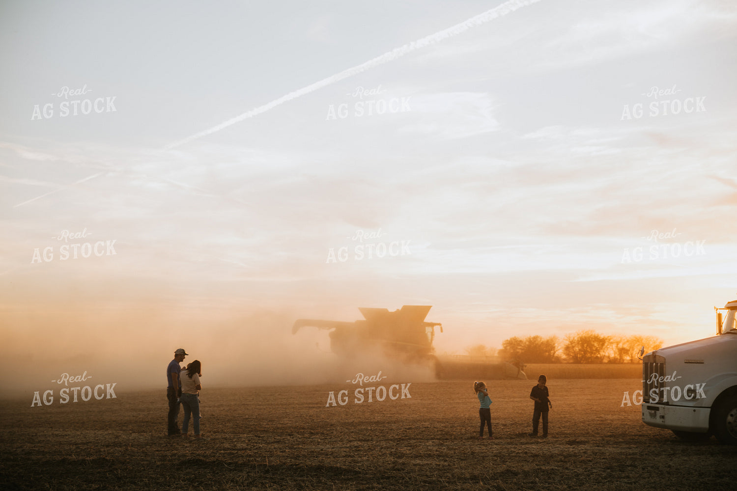 Farm Family in Soybean Field 7005