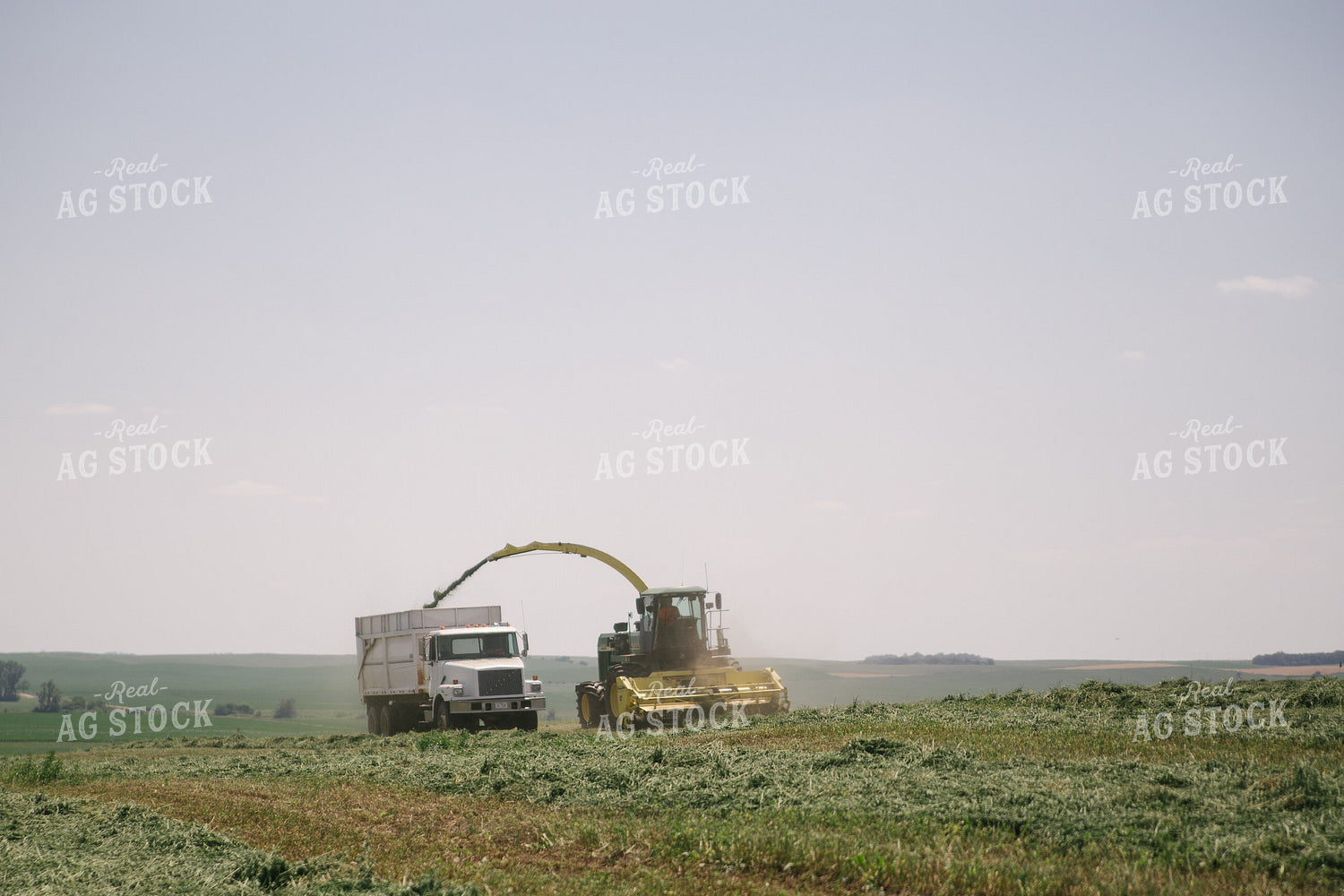 Harvesting Hay Silage 70058
