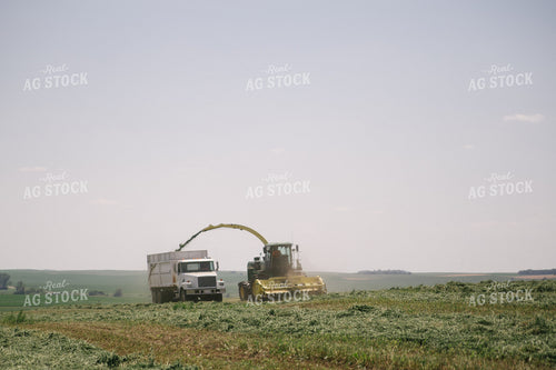 Harvesting Hay Silage 70058