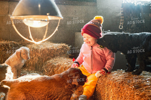 Farm Kid with Puppies 161067