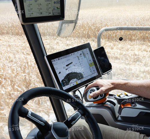 Furrow Irrigation in Soybean Field 79370