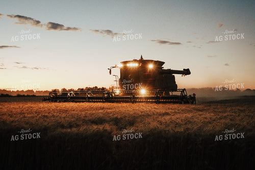 Wheat Harvest 83095