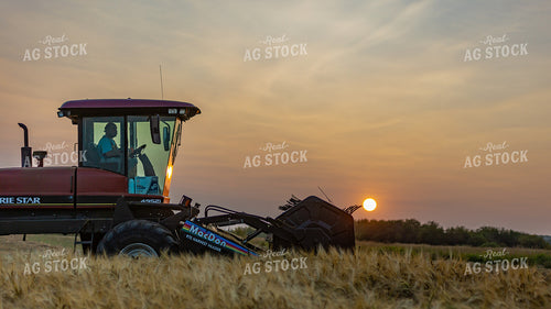 Harvest 138132
