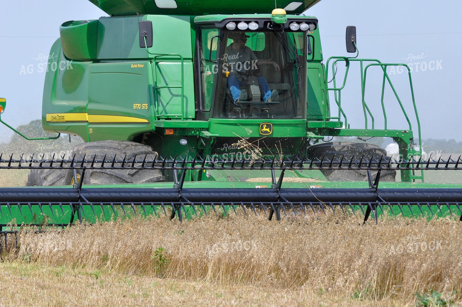 Pennycress Harvest 103083