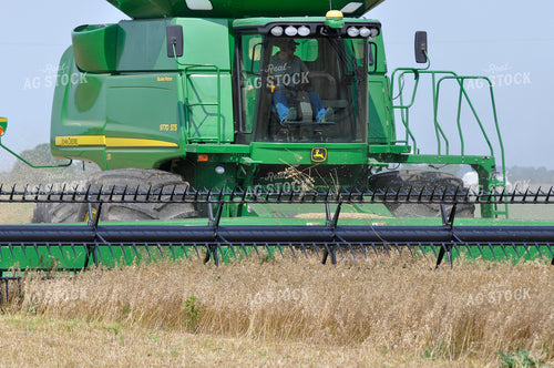 Pennycress Harvest 103083