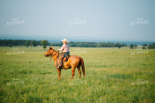 Rancher Rides Horses in Pasture 125132