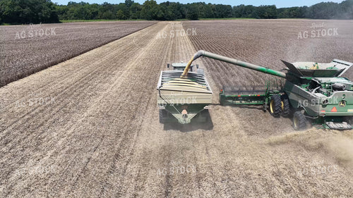 Soybean Harvest 79887