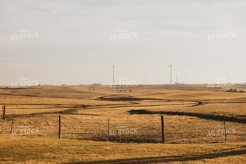 Fall Pasture 67238