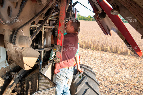 Multigenerational Farm Familiy Repairing Combine in a Bean Field 25441