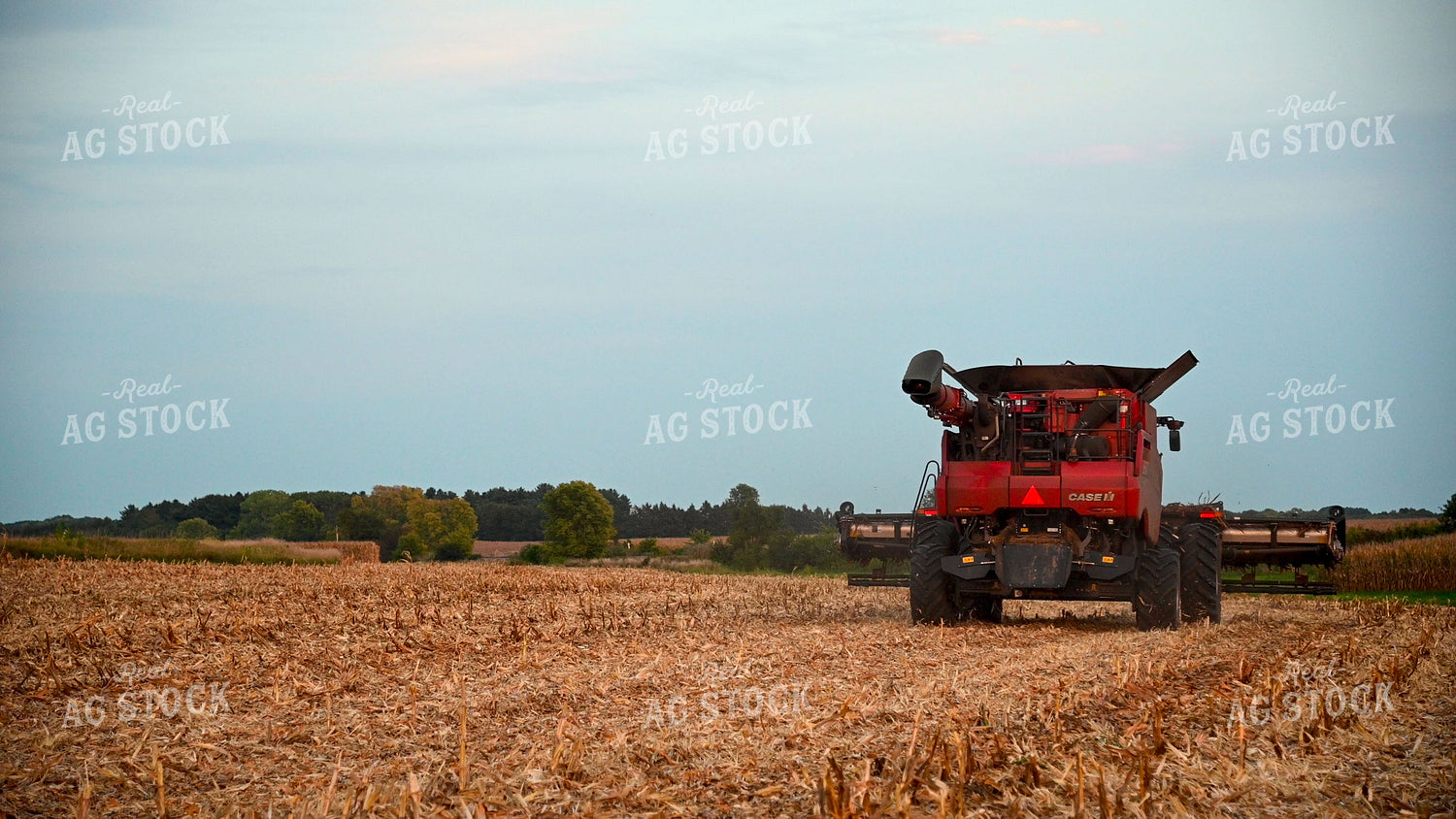 Combine Switching Rows 25503