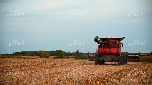 Combine Switching Rows 25503