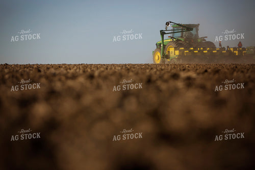 Planting 1916