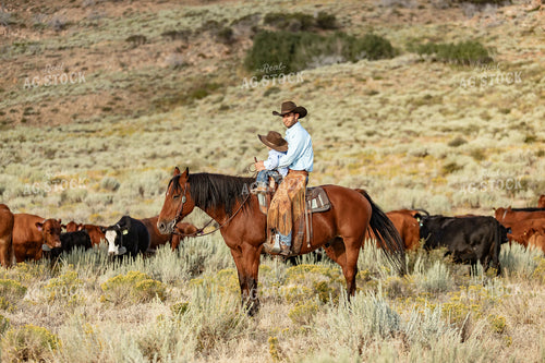 Rancher and Ranch Kid on Horseback 188044