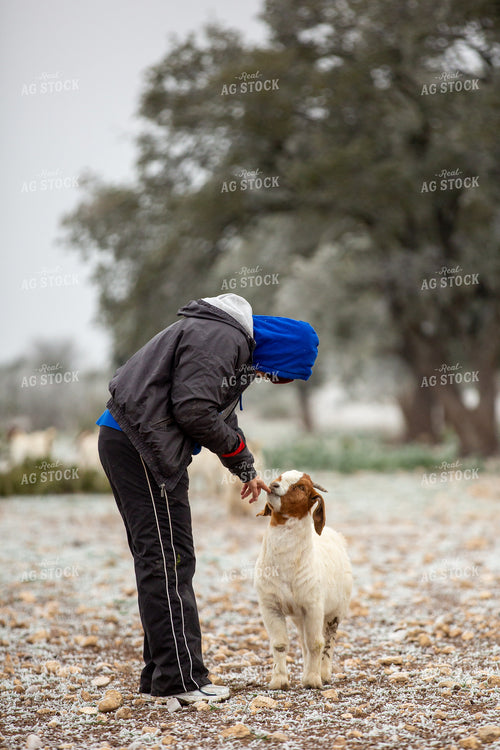 Farmer with Goat 134077