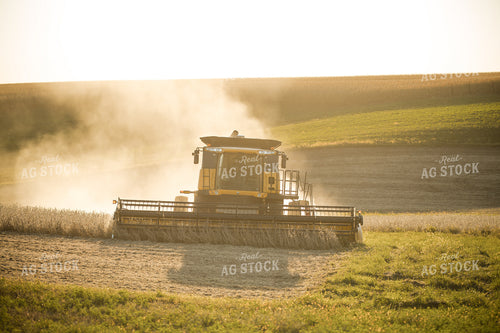 Soybean Harvest 215115