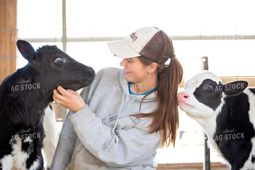Farm Kid with Holstein Calves 55308