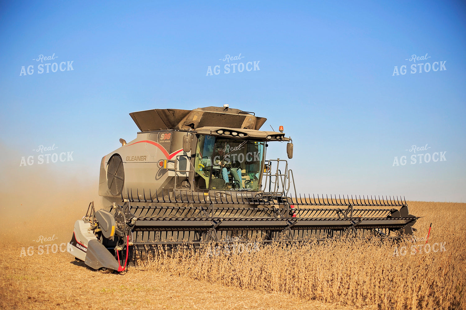 Soybean Harvest 93078