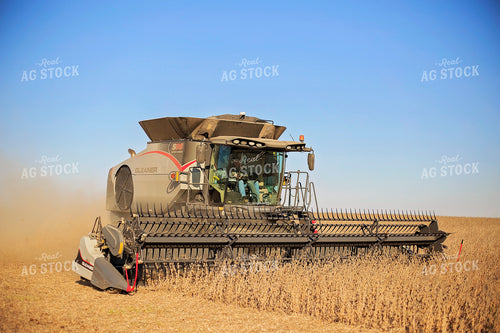 Soybean Harvest 93078