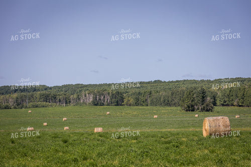 Scenic Hay Field 138082
