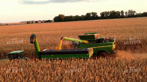 Corn Harvest 287011