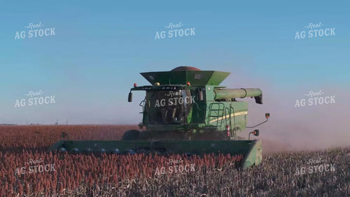 Milo Harvest 239051