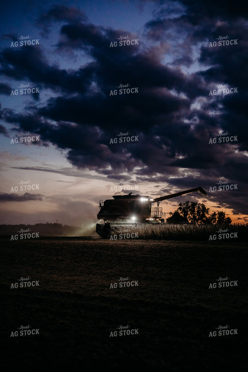 Soybean Harvest at Night 281117