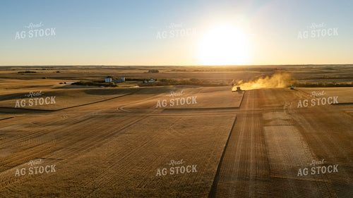 Wheat Harvest 187331