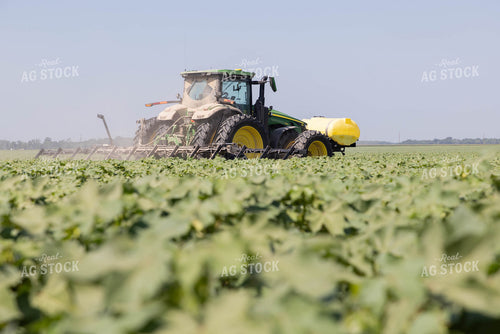 Spraying 79698