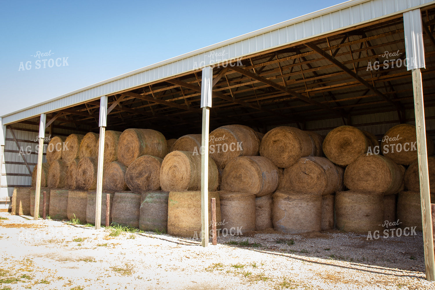 Hay Bales 268158