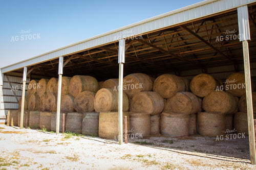 Hay Bales 268158