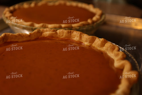 Pumpkin Pie 52261