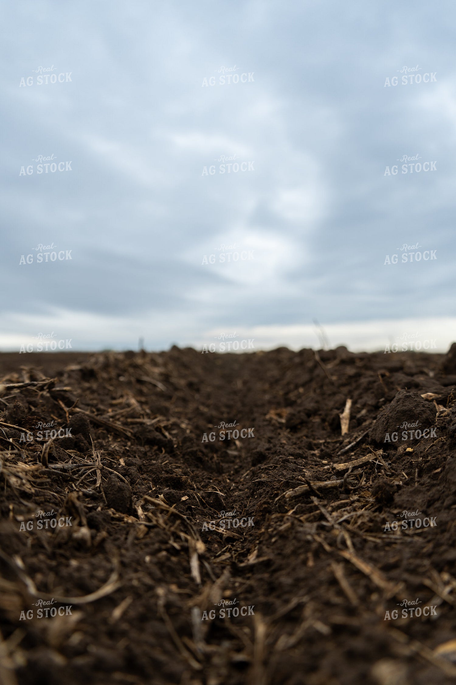 Freshly Tilled Soil 65397