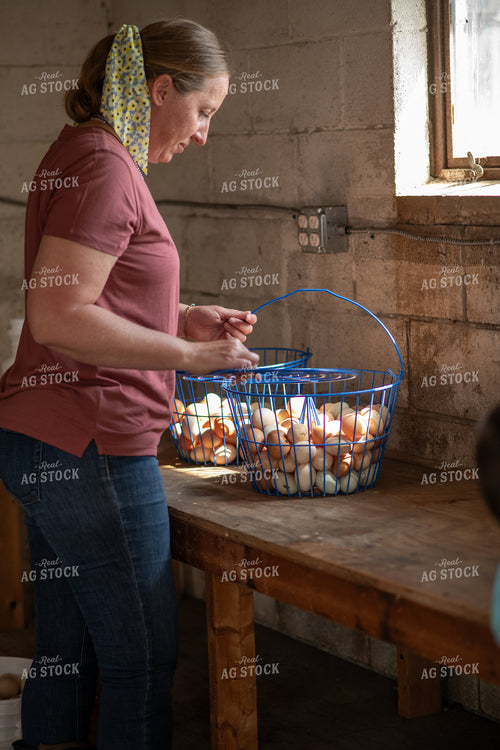 Gathering Eggs 76607
