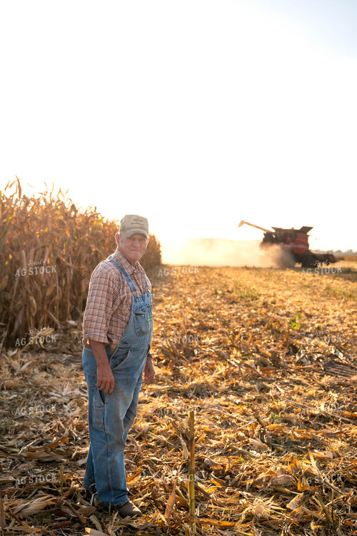 Farmer Watching Corn Harvest 115897