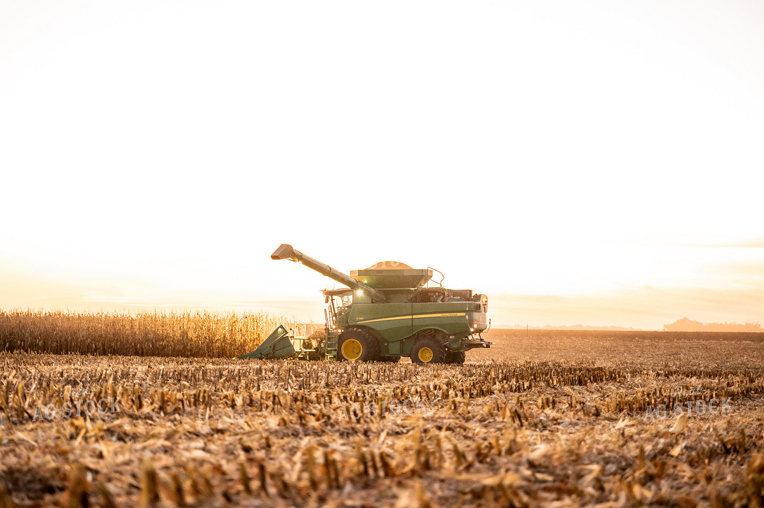 Corn Harvest 185124