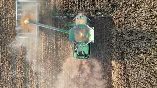 Overhead of Corn Harvest 149058