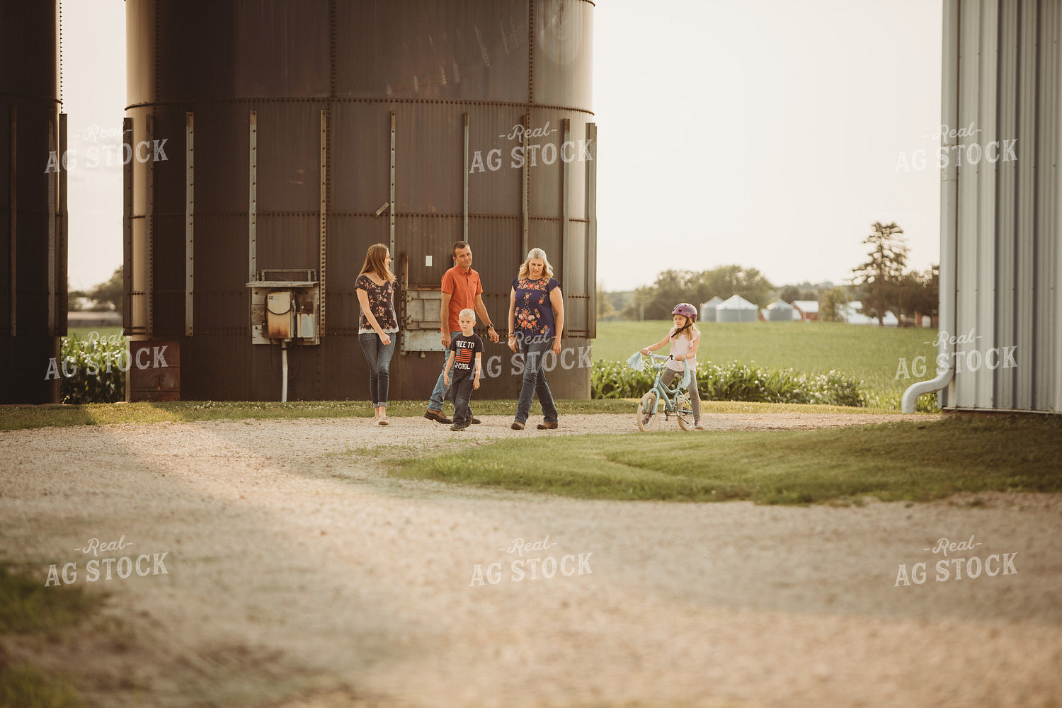 Farm Family Walking Along Corn Field 4469