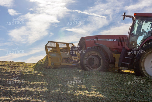 Piling Corn Silage 132095