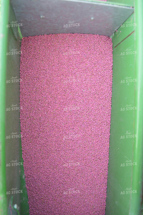 Alfalfa Seed in Seed Drill 206073