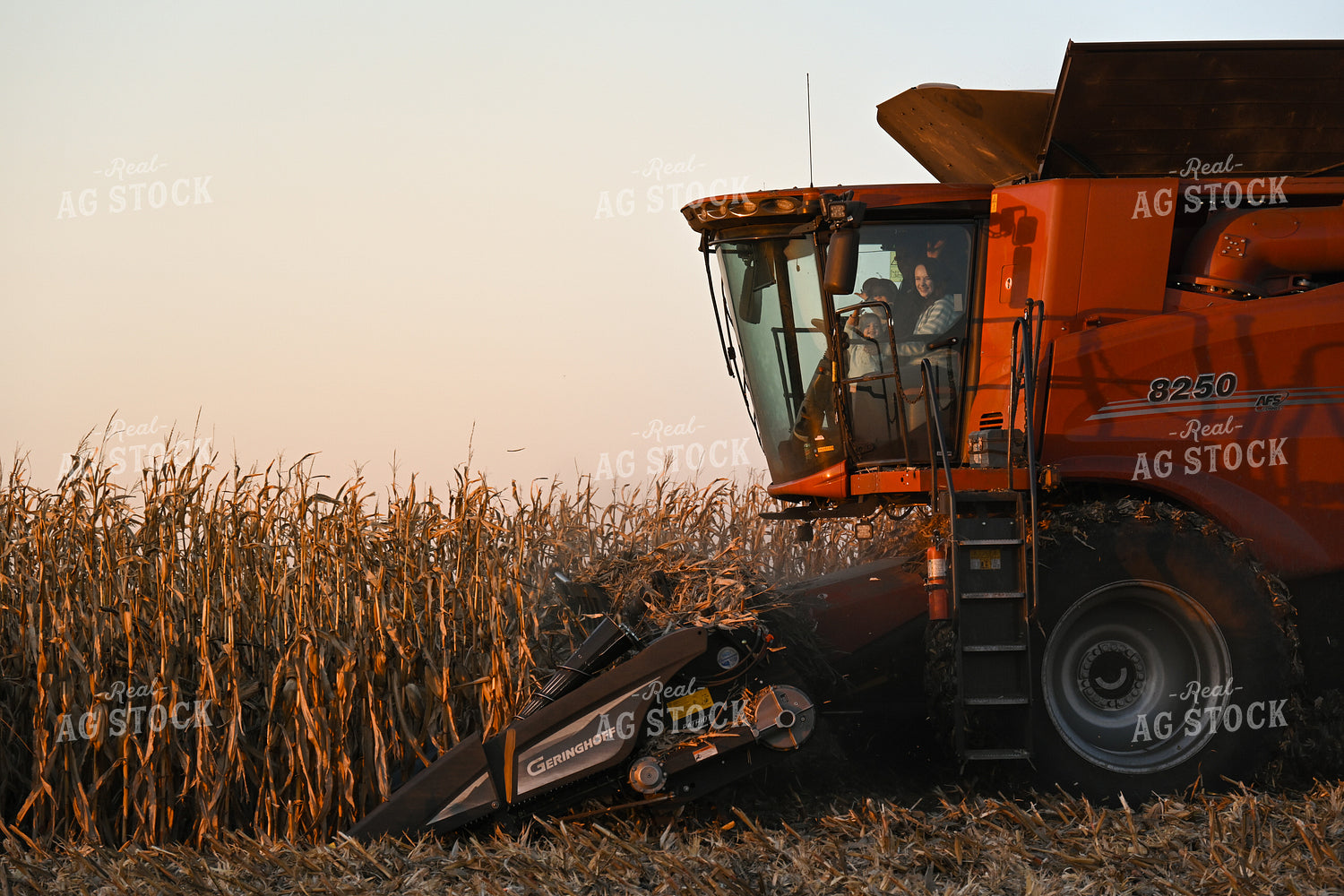 Farm Family in Combine 26300
