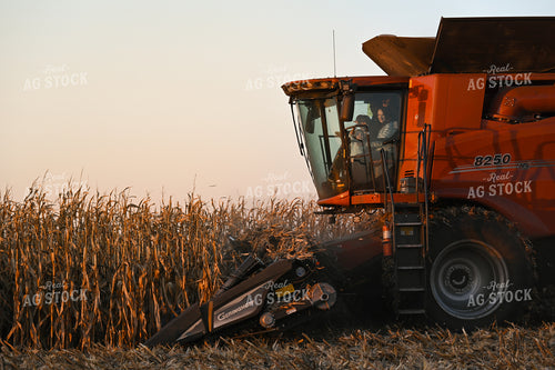 Farm Family in Combine 26300