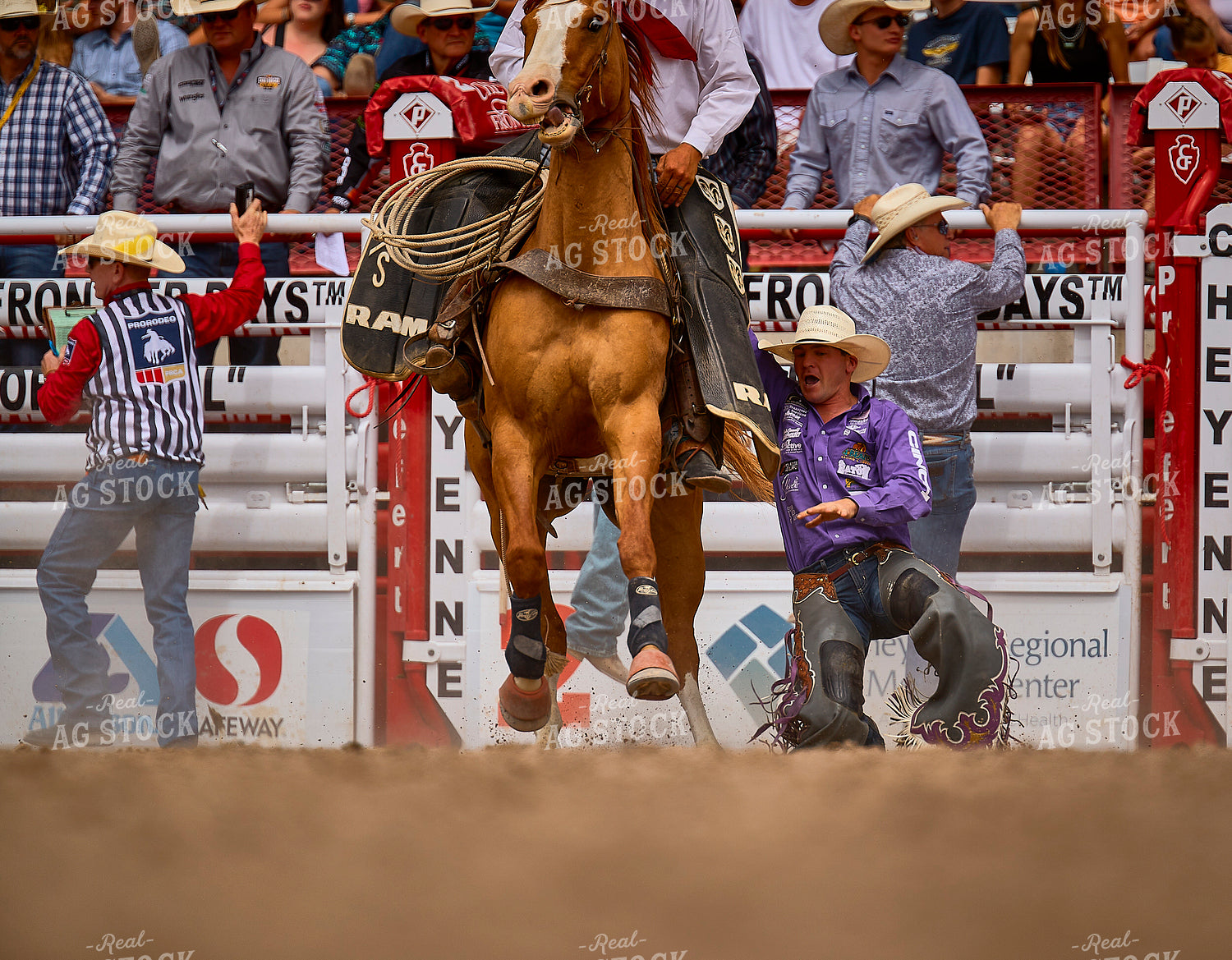 Saddle Bronc Riding 177025