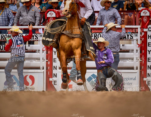 Saddle Bronc Riding 177025