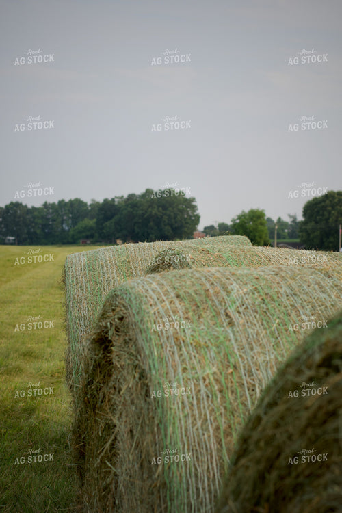 Round Hay Bales 251177