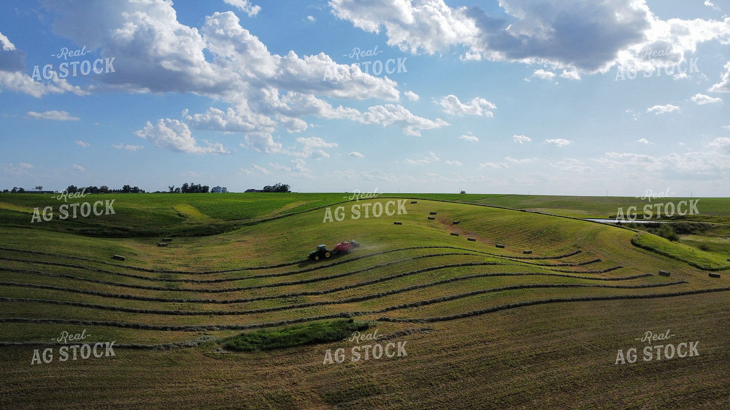 Baling Hay 215001