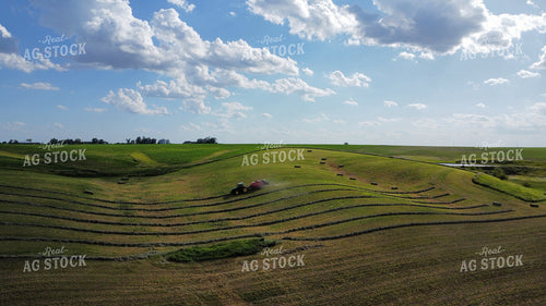 Baling Hay 215001