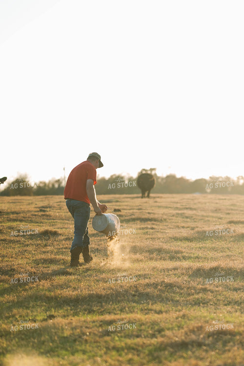 Farmer Pouring Pellets in Pasture 125232