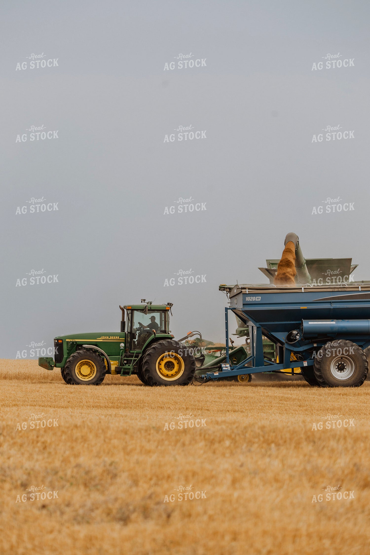 Wheat Harvest 187194