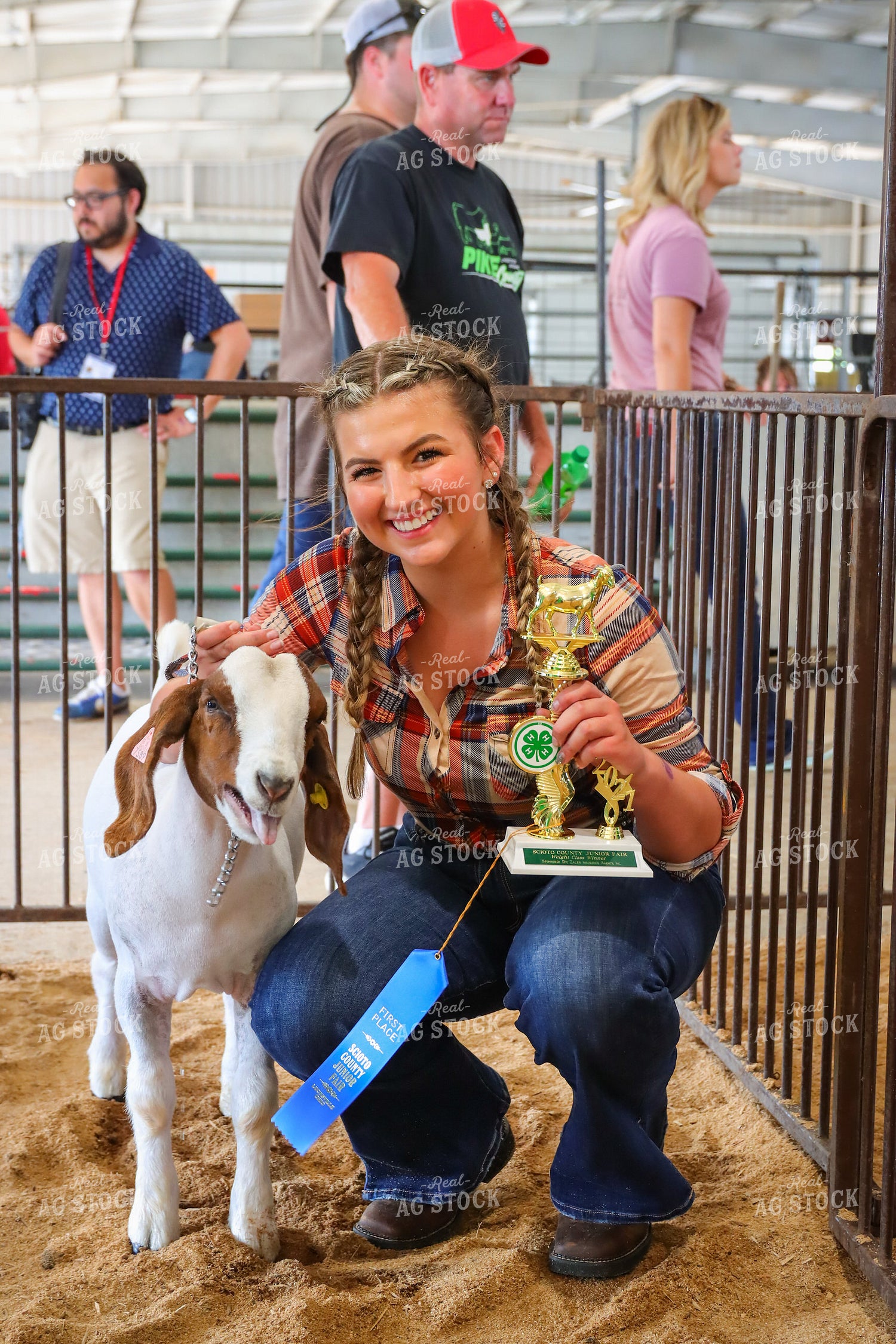 4H Kid Showing Goat 52196